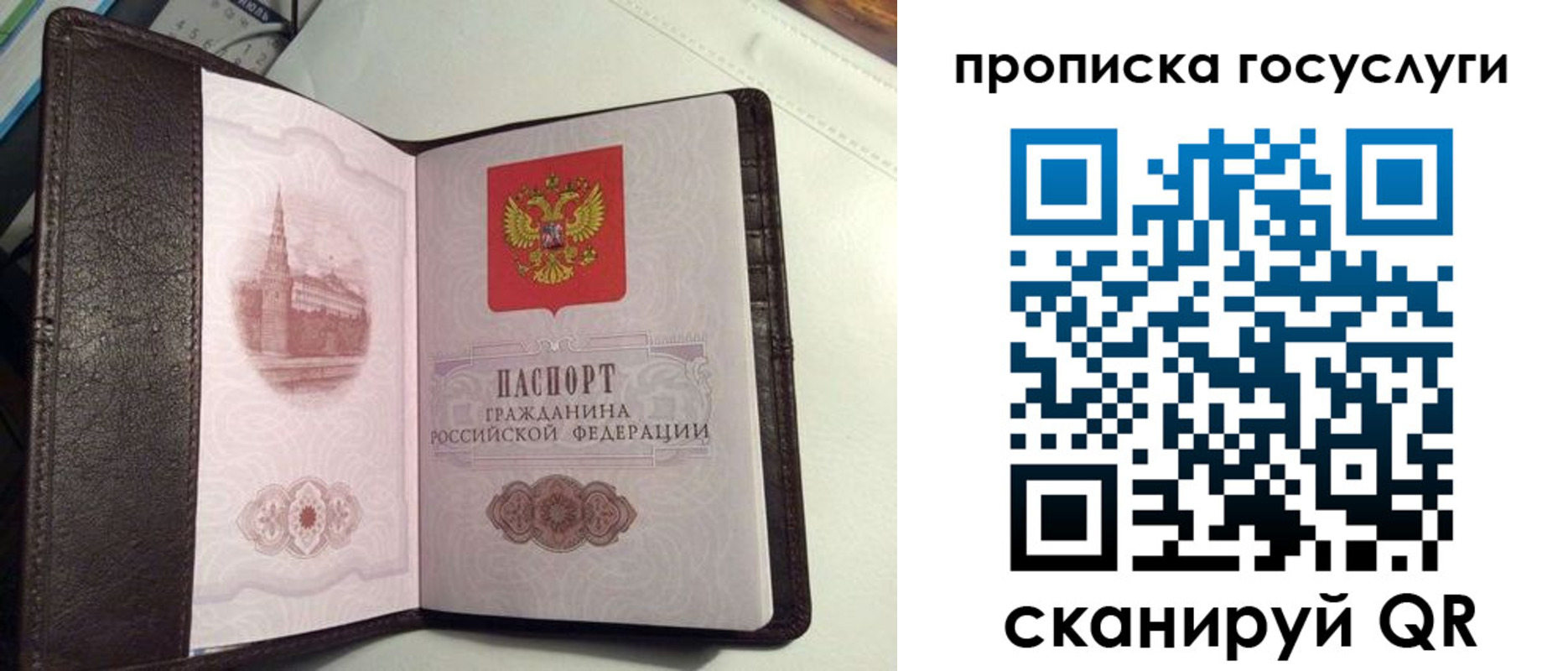 временная прописка в Псковской области
